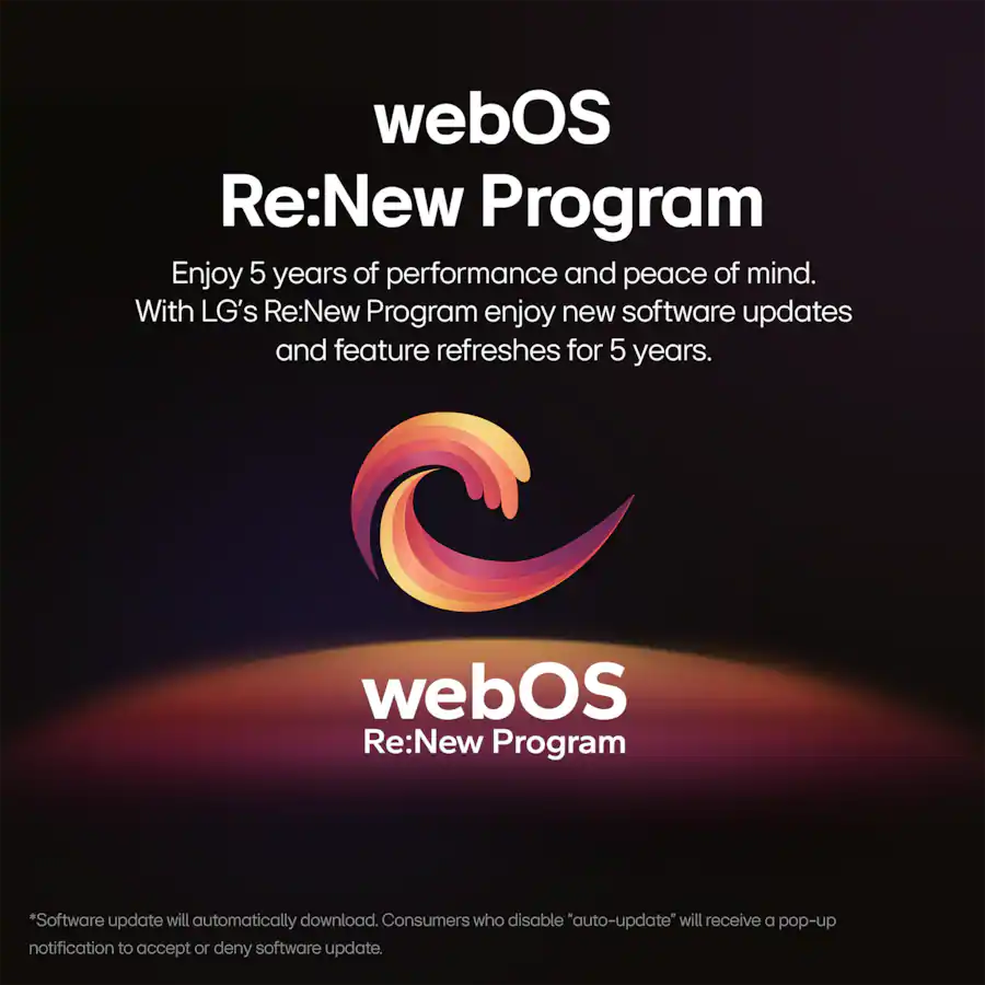 LG Magic Remote Control